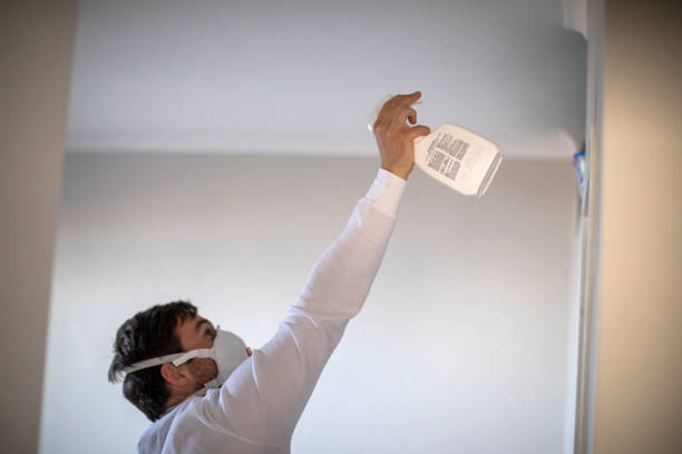 Best Black Mold Removal  in San Martin, CA