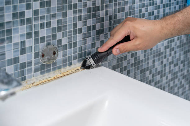 Best Mold Testing  in San Martin, CA