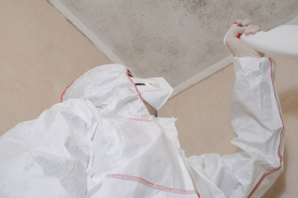 Best Crawl Space Mold Removal  in San Martin, CA
